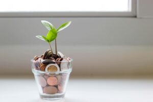 money in pot of plant growing